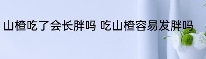 山楂吃了会长胖吗 吃山楂容易发胖吗