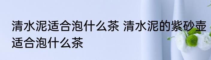 清水泥适合泡什么茶 清水泥的紫砂壶适合泡什么茶