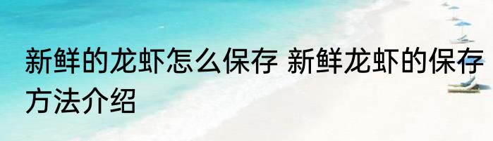 菜要怎么保存才不会烂 菜如何保存不会烂呢