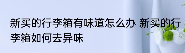 新买的行李箱有味道怎么办 新买的行李箱如何去异味