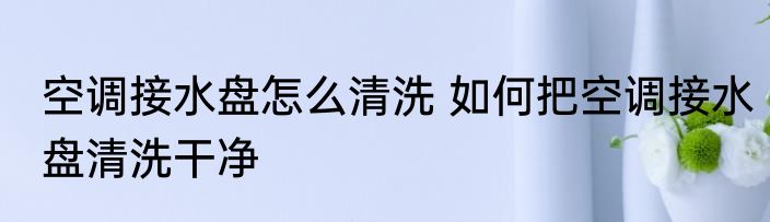 空调接水盘怎么清洗 如何把空调接水盘清洗干净
