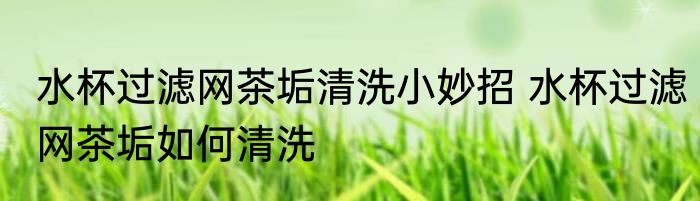 水杯过滤网茶垢清洗小妙招 水杯过滤网茶垢如何清洗