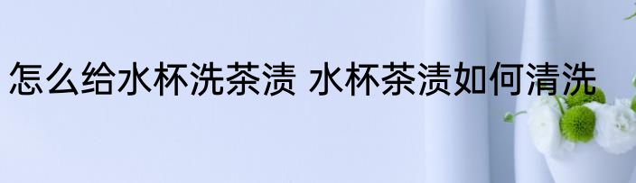 怎么给水杯洗茶渍 水杯茶渍如何清洗