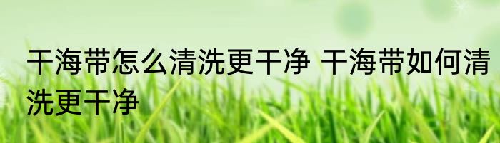 油炸脆皮肉怎么做才脆 油炸脆皮肉的做法