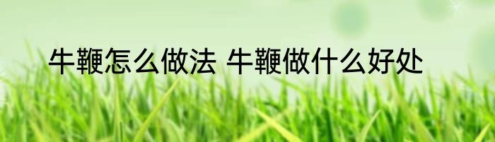 牛鞭怎么做法 牛鞭做什么好处