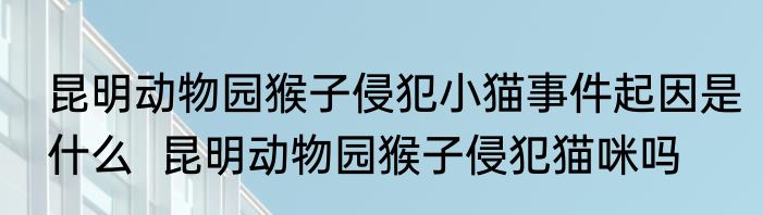昆明动物园猴子侵犯小猫事件起因是什么  昆明动物园猴子侵犯猫咪吗