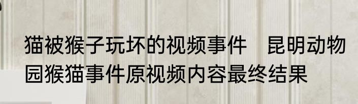 猫被猴子玩坏的视频事件   昆明动物园猴猫事件原视频内容最终结果