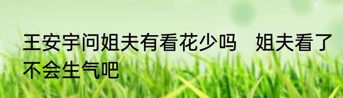 王安宇问姐夫有看花少吗   姐夫看了不会生气吧