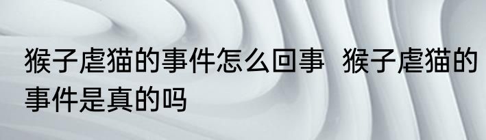 猴子虐猫的事件怎么回事  猴子虐猫的事件是真的吗