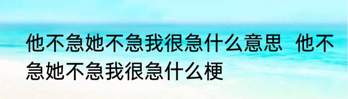 他不急她不急我很急什么意思  	他不急她不急我很急什么梗