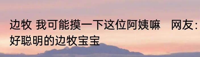 边牧 我可能摸一下这位阿姨嘛   网友：好聪明的边牧宝宝
