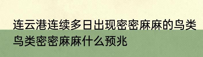  连云港连续多日出现密密麻麻的鸟类  鸟类密密麻麻什么预兆