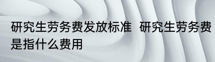 研究生劳务费发放标准  研究生劳务费是指什么费用