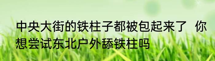 中央大街的铁柱子都被包起来了  你想尝试东北户外舔铁柱吗
