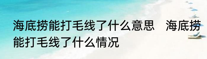 海底捞能打毛线了什么意思   海底捞能打毛线了什么情况