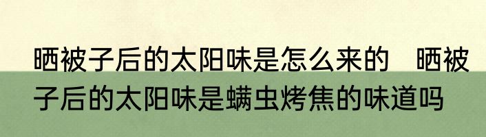 晒被子后的太阳味是怎么来的   晒被子后的太阳味是螨虫烤焦的味道吗