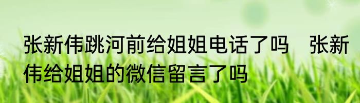 张新伟跳河前给姐姐电话了吗   张新伟给姐姐的微信留言了吗