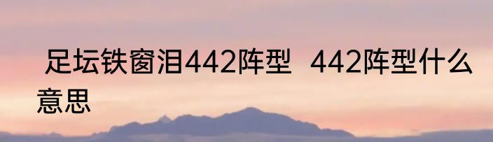  足坛铁窗泪442阵型  442阵型什么意思