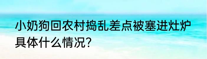 小奶狗回农村捣乱差点被塞进灶炉  具体什么情况？