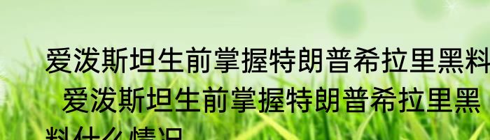 爱泼斯坦生前掌握特朗普希拉里黑料   爱泼斯坦生前掌握特朗普希拉里黑料什么情况