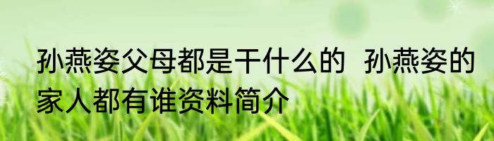 孙燕姿父母都是干什么的  孙燕姿的家人都有谁资料简介