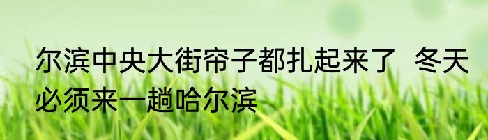 尔滨中央大街帘子都扎起来了  冬天必须来一趟哈尔滨