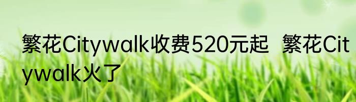 繁花Citywalk收费520元起  繁花Citywalk火了