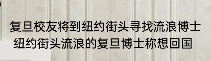 复旦校友将到纽约街头寻找流浪博士   纽约街头流浪的复旦博士称想回国