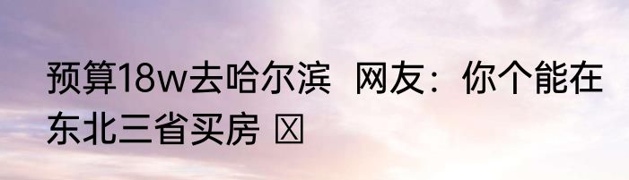 预算18w去哈尔滨  网友：你个能在东北三省买房 ​