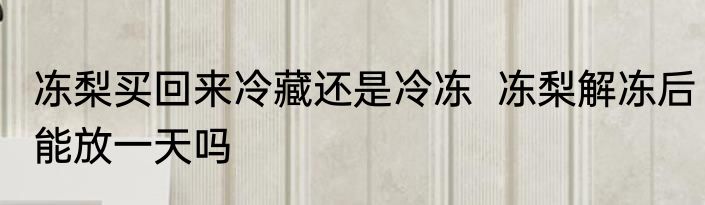 冻梨买回来冷藏还是冷冻  冻梨解冻后能放一天吗