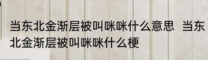 当东北金渐层被叫咪咪什么意思  当东北金渐层被叫咪咪什么梗