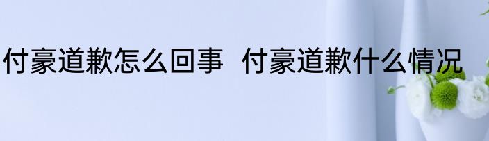 付豪道歉怎么回事  付豪道歉什么情况