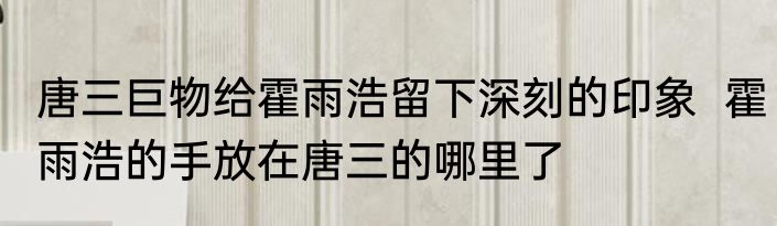 唐三巨物给霍雨浩留下深刻的印象  霍雨浩的手放在唐三的哪里了
