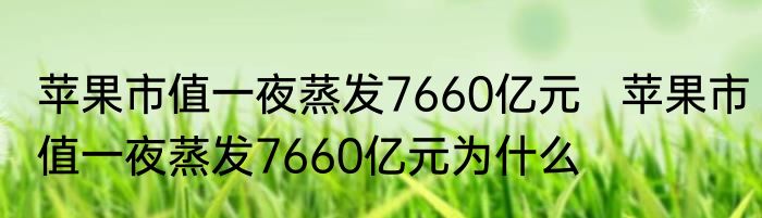 苹果市值一夜蒸发7660亿元   苹果市值一夜蒸发7660亿元为什么