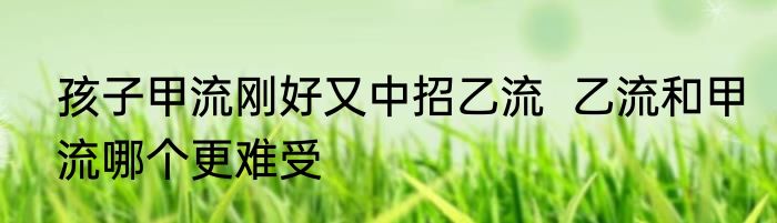 孩子甲流刚好又中招乙流  乙流和甲流哪个更难受