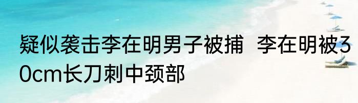 疑似袭击李在明男子被捕  李在明被30cm长刀刺中颈部