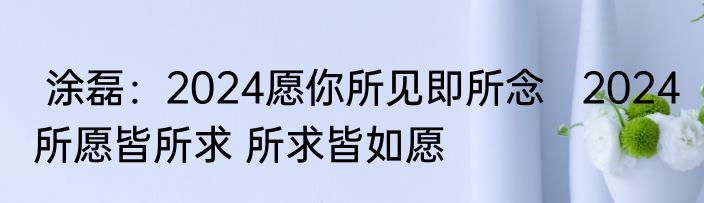  涂磊：2024愿你所见即所念   2024 所愿皆所求 所求皆如愿