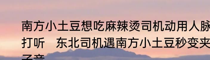 南方小土豆想吃麻辣烫司机动用人脉打听   东北司机遇南方小土豆秒变夹子音