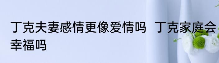 丁克夫妻感情更像爱情吗  丁克家庭会幸福吗