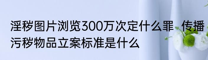 淫秽图片浏览300万次定什么罪  传播污秽物品立案标准是什么