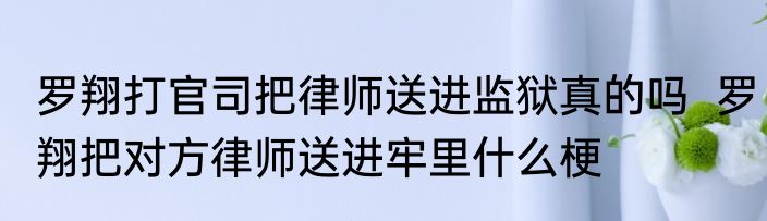 罗翔打官司把律师送进监狱真的吗  罗翔把对方律师送进牢里什么梗