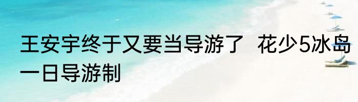 王安宇终于又要当导游了  花少5冰岛一日导游制