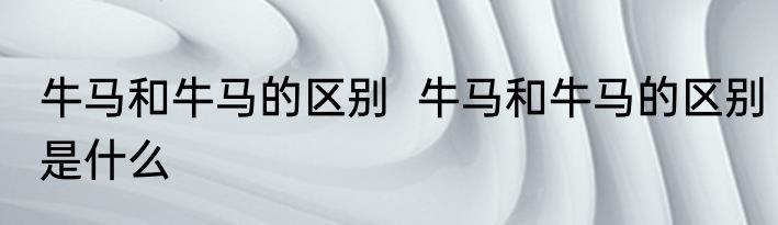 牛马和牛马的区别  牛马和牛马的区别是什么