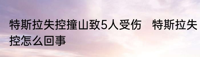 特斯拉失控撞山致5人受伤   特斯拉失控怎么回事