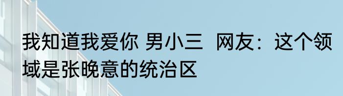 我知道我爱你 男小三  网友：这个领域是张晚意的统治区