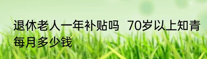 退休老人一年补贴吗  70岁以上知青每月多少钱