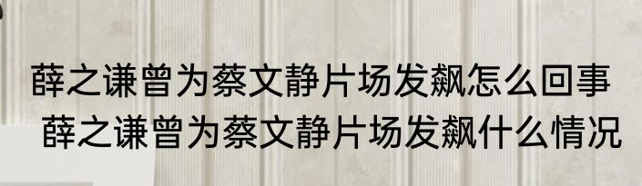 薛之谦曾为蔡文静片场发飙怎么回事   薛之谦曾为蔡文静片场发飙什么情况