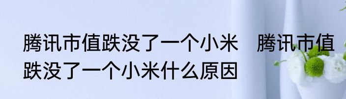 腾讯市值跌没了一个小米   腾讯市值跌没了一个小米什么原因