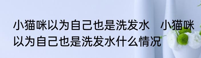 小猫咪以为自己也是洗发水   小猫咪以为自己也是洗发水什么情况
