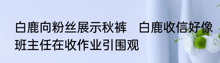 白鹿向粉丝展示秋裤   白鹿收信好像班主任在收作业引围观
